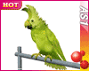 [AS1] Dancing Parrot