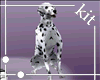 [Kit]Dalmatian_Pet_x2