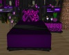 Neon Purple Cpl Lounge