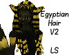 Egyptian Hair V2 