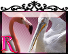 *R* Flamingo Pelican ENH