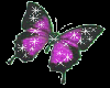 Color changing Butterfly