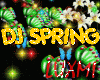 DJ Spring Bundles M