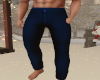 [L] Winter Blue Pants