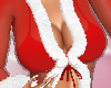 SL Santa's Girl Top