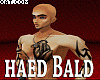 haed Bald