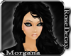 rd| Vintage Morgana