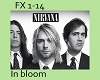 Nirvana -In bloom