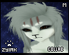 Z; Akita Hair M V4