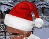 ''Santa C. Hat Animated'
