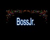 BossJr