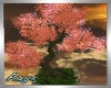 ZY: Cherry Blossom Tree