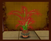 (Ch3) Red Palm Plant