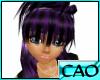 CAO Purple Fusion Hizuru