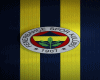 L◄ Fenerbahce cutout v