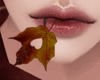 D4. Autumn Leaf w Heart