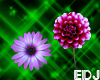 EDJ Flowers Enhancer