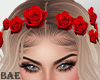 B| Red Rose Crown