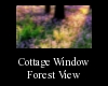 Cottage Window - Forest