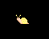 Tiny Yellow Snail