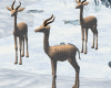 3 Nature Deer Deco