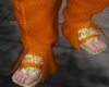 M@Z VERSE O PANTS
