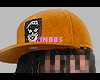 会 CAP I + DREADS