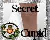 ~QI~Secret Cupid Shoes W