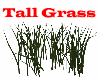 tall Grass