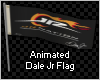 Dale Jr Flag