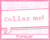 collar me..