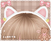 KID 😺 Cat Headband