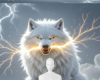 White wolf background