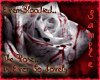 Gothic Blood Rose