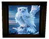 Framed white owl 2