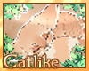 |CAT| 1 mil Dev Fund