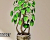 Planter