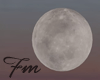 Moon | FM37