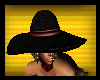 [Bee] Cool Black Hat