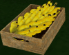 GP*Banana deriv