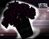 Purple Roses | V
