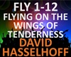 David Hasselhoff -Flying