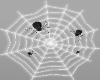 SPIDER HALLOWEEN WEB