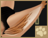 ~AM~ Cicikava Ears v4