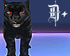 x. Black Panther III