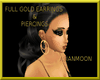 (AM)Full Gold Earrings