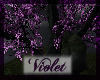 (V) Violet Park night
