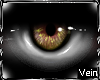 * Business Man Eyes V2 |