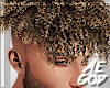 Ⱥ" Golden Curls