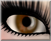 [49c] Caramel Eyes